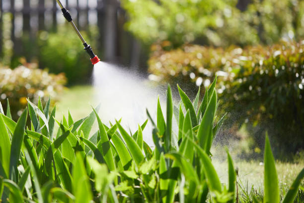 24/7 Emergency Mosquito Control experts in Bishop, CA
