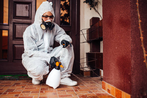 Reliable Mosquito Control contractor in Bishop, CA by Nex Pest Control